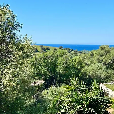 De Proche Plages Et Ajaccio *