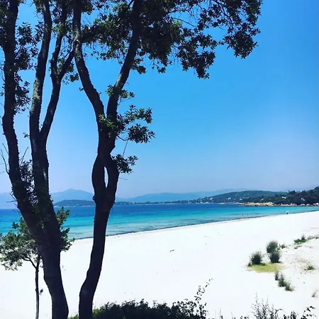De Proche Plages Et Ajaccio